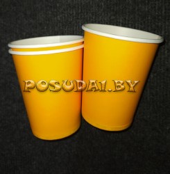 stak kart 250 jeltiy